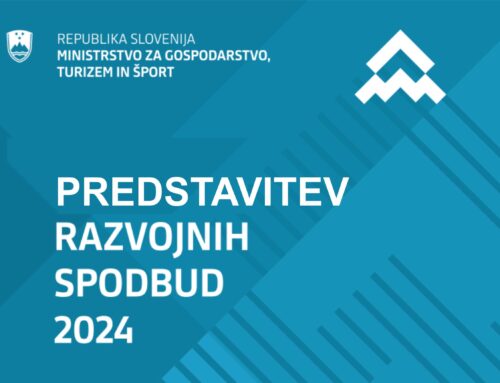 Predstavitev razvojnih spodbud